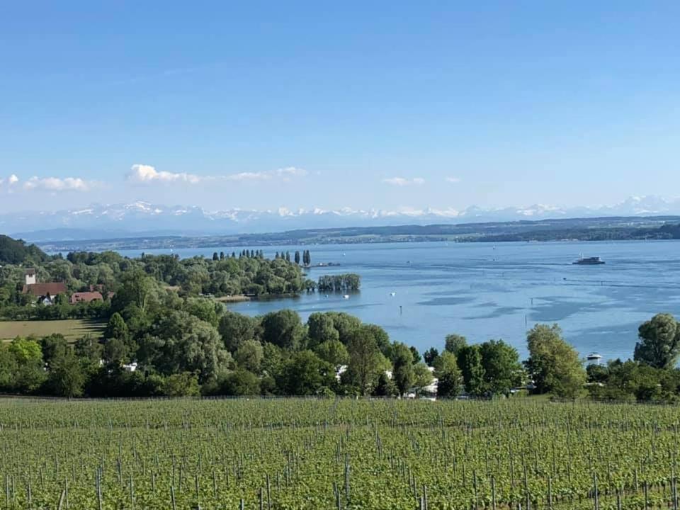 Ferienwohnung "Maisonette Unter Der Burg" Meersburg Exterior foto